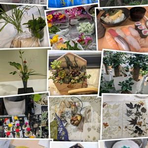 ガジュマル,エディブルフラワー,エディブルフラワー,多肉植物,ハーブの画像