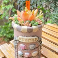リメイク缶,ハンドメイド,エケベリア属,多肉大好き,寄植えの画像
