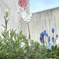 ビオラ,フレンチラベンダー,レモンタイム,no green no life,植物のある暮らしの画像