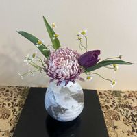 キク,チューリップ,ボケ,ユスラウメ,ナツシロギクの画像
