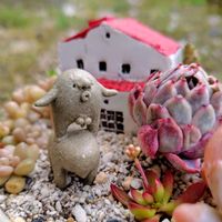 キャロライン,多肉植物,大好き,多肉植物寄せ植え,自作鉢の画像