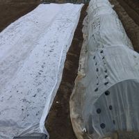 玉ねぎ,枝豆,インゲン,トウモロコシ,ニャンピーの作業記録の画像