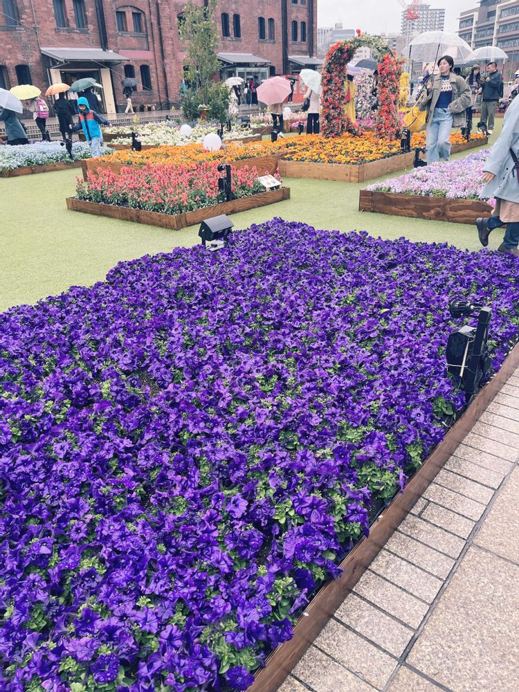ゆりさんの中区への投稿