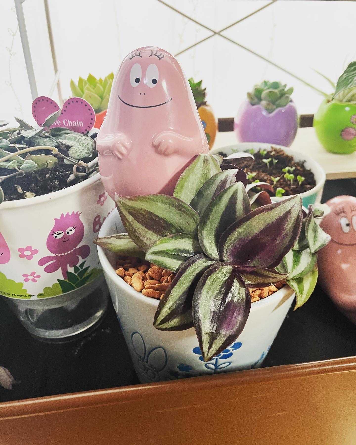 バーバパパモジャ ミニ植木鉢 バーバパパと観葉植物｜?GreenSnap 