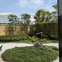 観葉植物,お花,和庭,初大阪,お出かけ先の画像