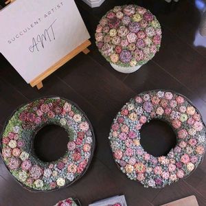 セダム,寄せ植え,多肉植物,アーティストの画像