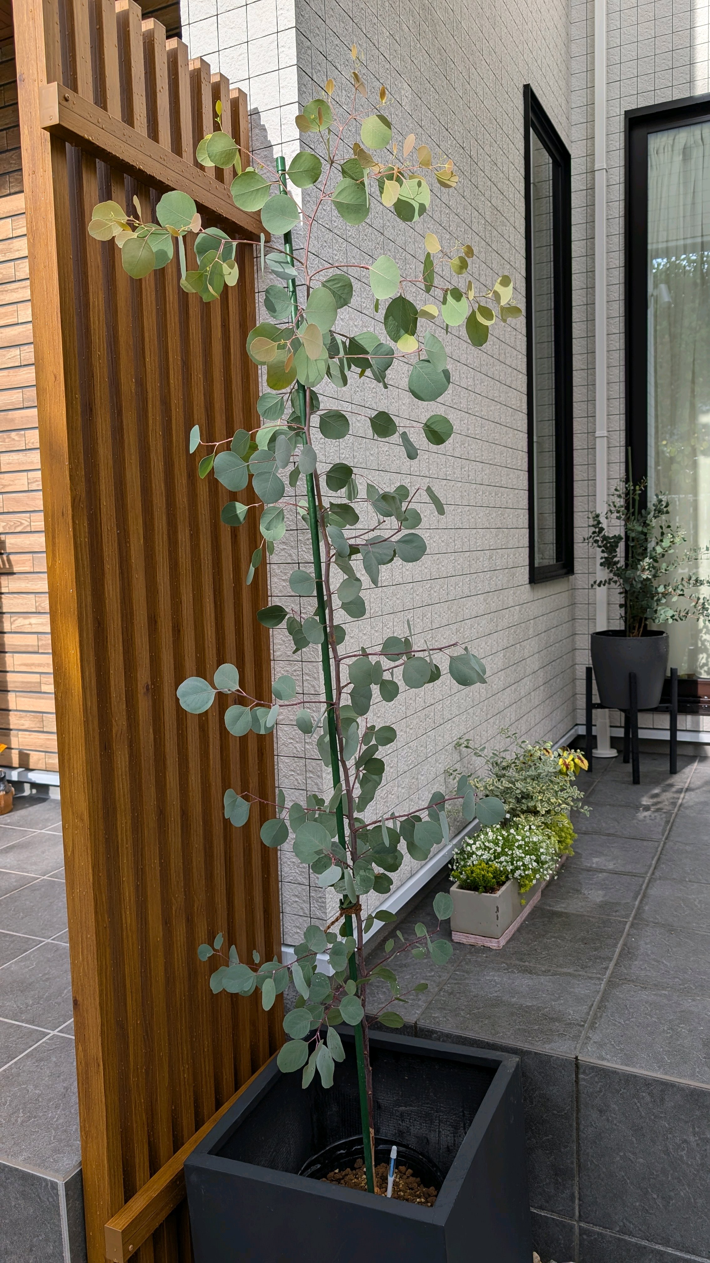 1744666024693_901140_p_2025041