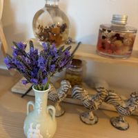 レースラベンダー,青紫の花,はながら摘みの画像