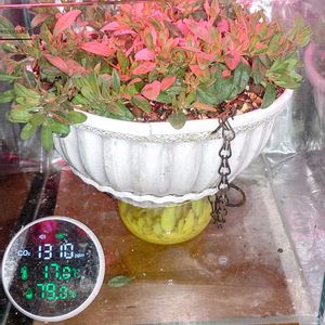 PWカリブラコア,ハンキング,ギャザリング,PW,PWプルーブンウィナーズの画像