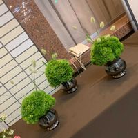 投げ入れ,季節の花,熊本,卒業式,生け込みの画像