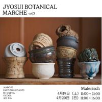 サボテン,ぼくモル ポタリー,ぼくモル ポタリー,多肉植物,ドライフラワーの画像