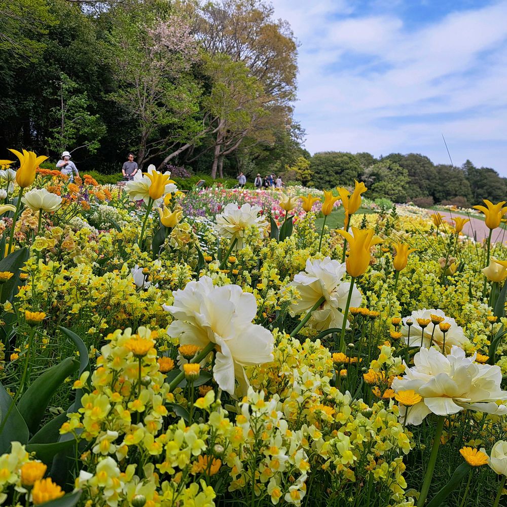 エリィさんの里山ガーデン（大花壇）への投稿