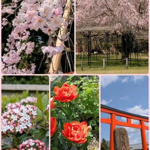 軒下,玄関先,お出かけ先♪の画像
