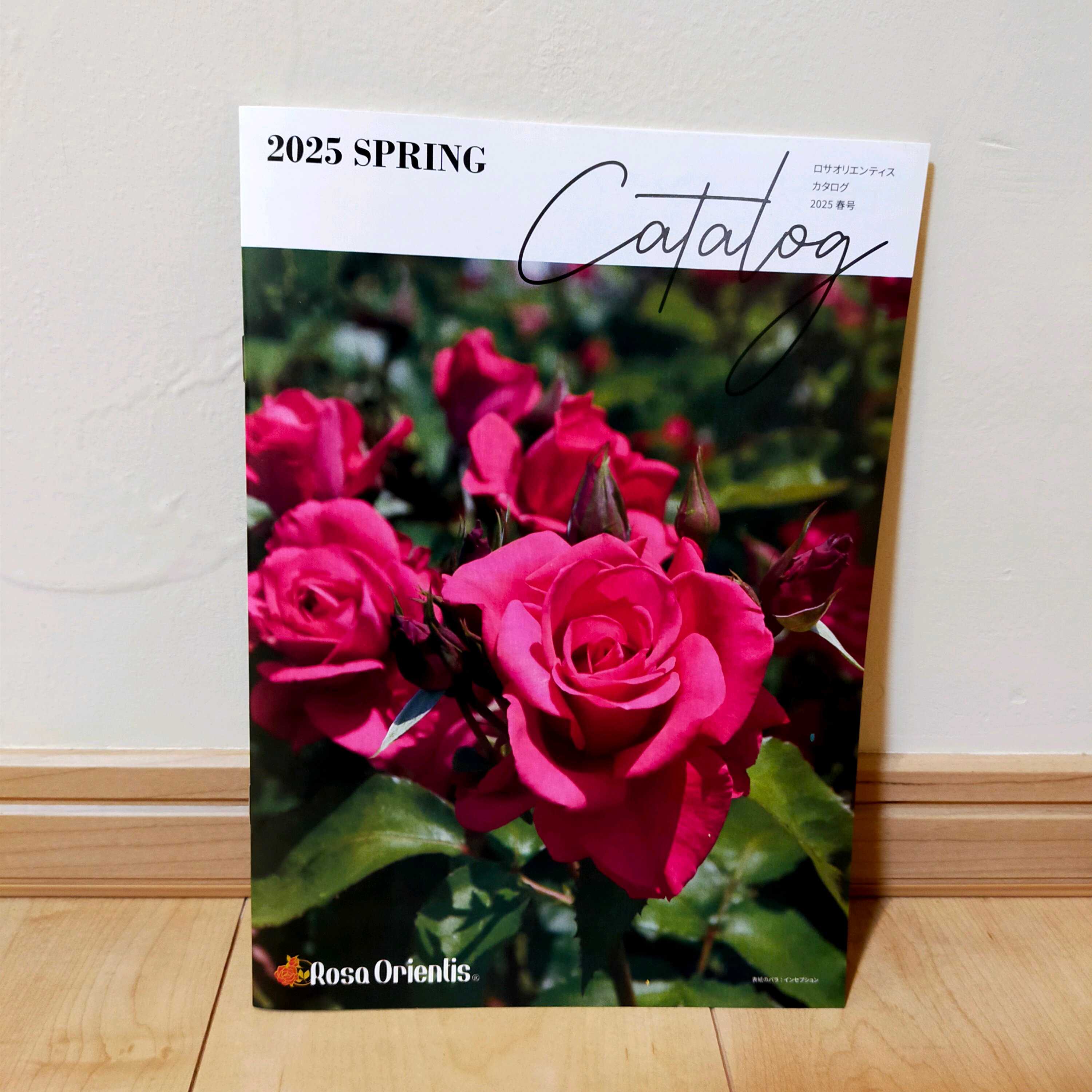 薔薇に魅せられての投稿画像 by ちけさん｜バラの家と河本バラ園とバラ