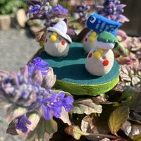 虹の玉,斑入りアジュガ,斑入りアジュガ,ラブロティンクタム,紫陽花 アジサイ あじさいの画像
