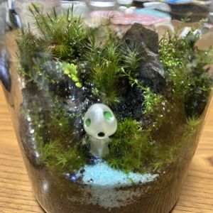 株分け,苔テラリウムの画像