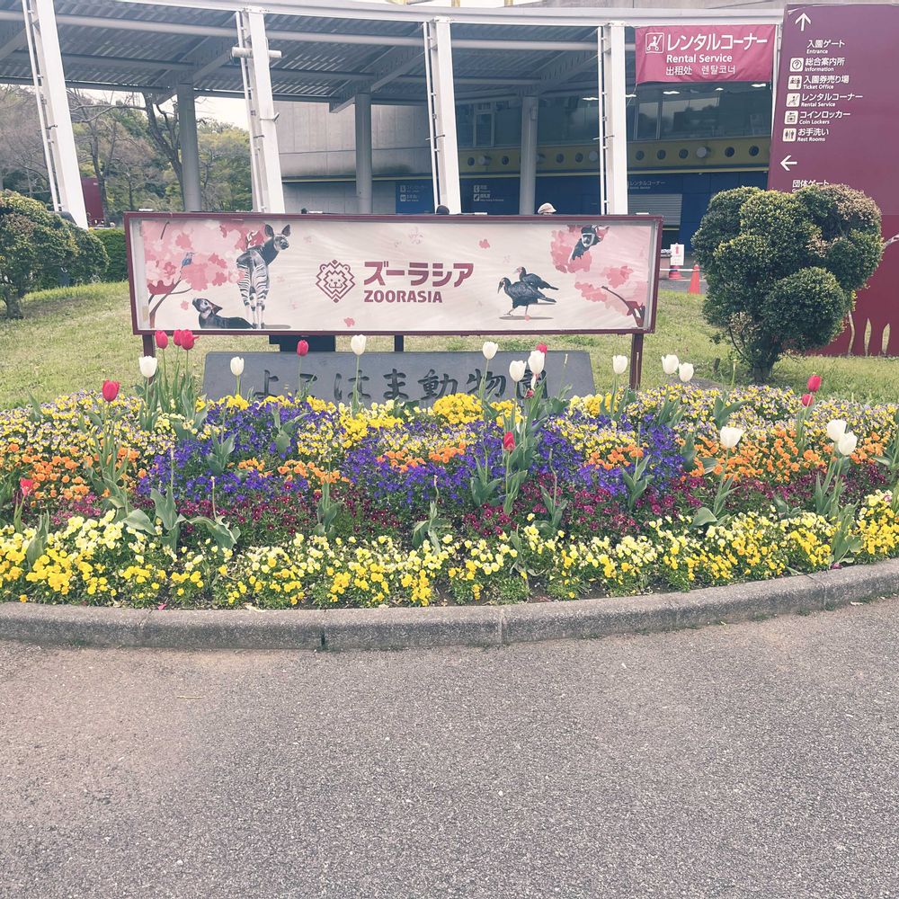 ゆりさんの旭区への投稿