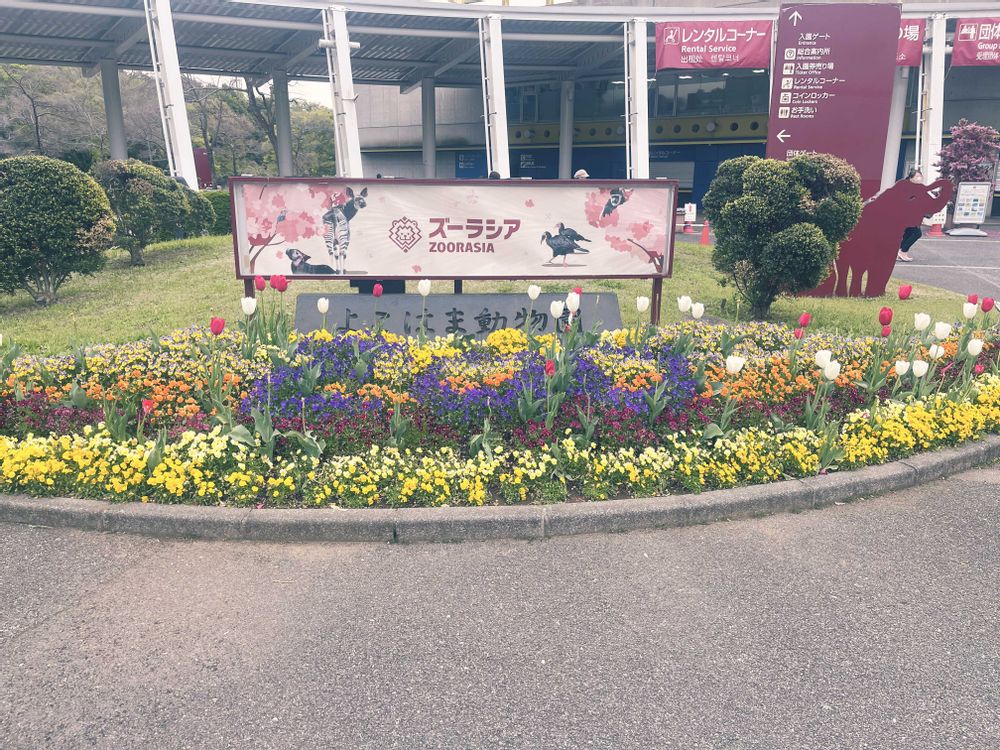 ゆりさんの旭区への投稿