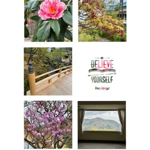 ツバキ,ミツバツツジ,モミジの花,日本庭園,箱根美術館の画像