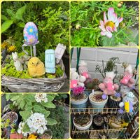多肉植物,サボテン科,イースター,多肉女子,ソクモン祭りの画像