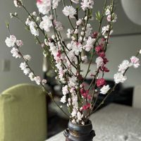 ハナモモ,山菜の天ぷら,長野県飯田市,男の手料理の画像