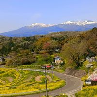 菜の花,安達太良山の画像