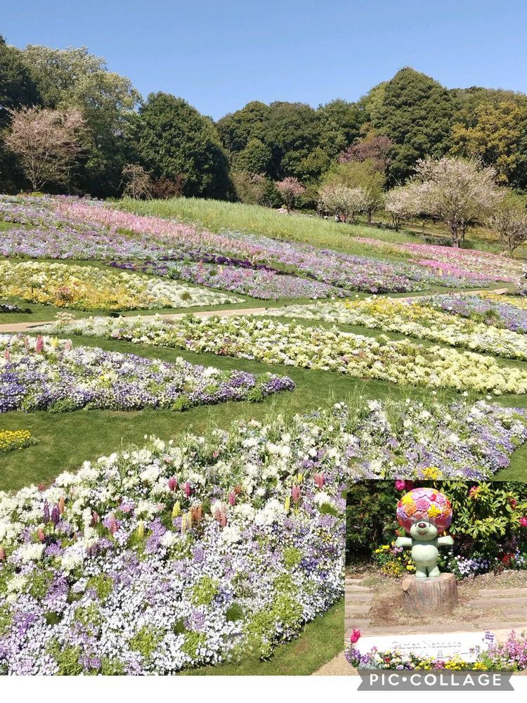 ユリコさんの里山ガーデン（大花壇）への投稿