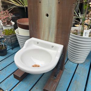 バス/トイレの画像