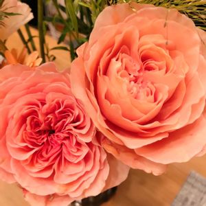 バラ,ヒメシャラ,ご近所にて,花束,投げ入れの画像