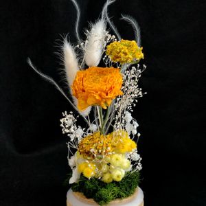 ラナンキュラス,ラナンキュラス ポンポン,ラナンキュラス　ルナ,ポンポンラナンキュラス　ルナ,ドライフラワーの画像