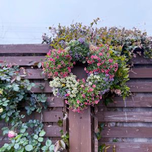 寄せ植え,ガーデニング,花のある暮らし,緑のある暮らし,リース寄せ植えの画像