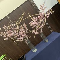 寄せ植え,花束,季節の花,熊本,卒業式の画像
