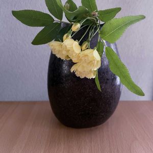 モッコウバラ,一輪挿し,信楽焼,iPhone撮影,asingleflowervaseの画像