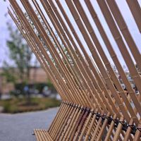 クローバー,シルバープリペット,タケ,竹 たけ,セイヨウシデの画像