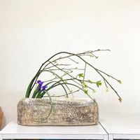 アイリス,クロモジ,いけばな,草月流の画像