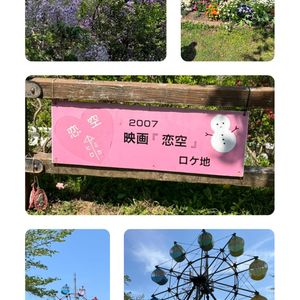 ヤマフジの花,＊番外編＊,＊番外編＊,小さな花壇,可愛らしいの画像