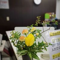 エゴノキ,カーネーション,シャガ,チューリップ,チューリップの画像