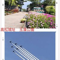 シロツメクサ,ツツジ,フリージア,シロツメクサ(クローバー),今日のお花の画像