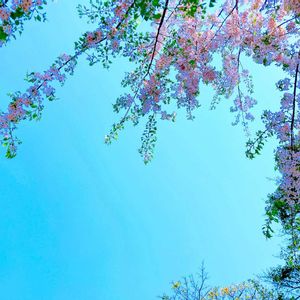 花のある暮らし,GS映え,GS日和,ゴールデンウィークのお出かけ先,お出かけ先の画像
