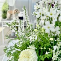 サルビア,ロベリア,イングリッシュラベンダー,デルフィ二ウム,ギャザリングの画像