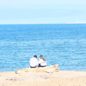 流木,お散歩,寄り道,青い空と海,火曜ベンチの画像