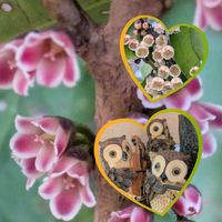 ヒサカキ,ヒサカキ,花のある暮らし,植物好き,自然の不思議の画像