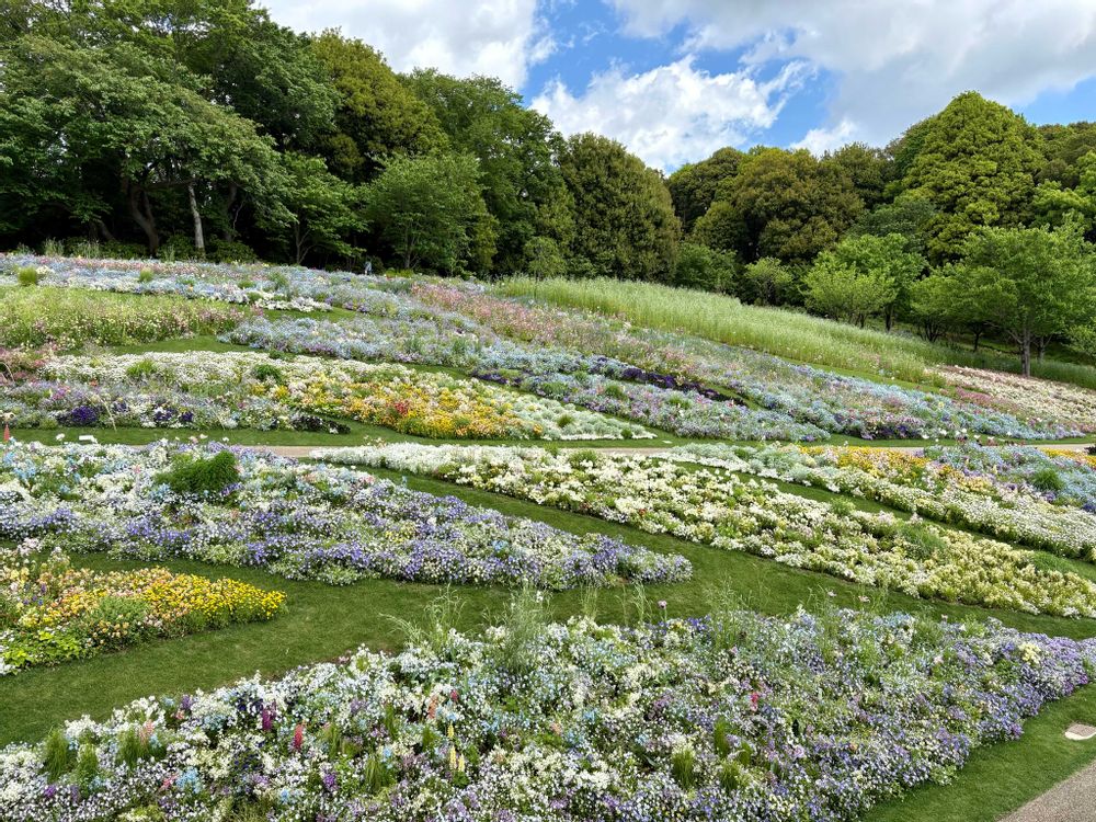 どらねこさんの里山ガーデン（大花壇）への投稿