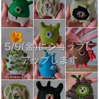 コウモリラン,ビカクシダ,パキポディウム,グラキリス,ボンバックスの画像