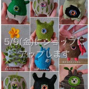 コウモリラン,ビカクシダ,パキポディウム,グラキリス,ボンバックスの画像