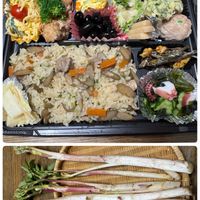 タイツリソウ,胡蝶蘭,西洋オダマキ,うど,たいつりそうの画像