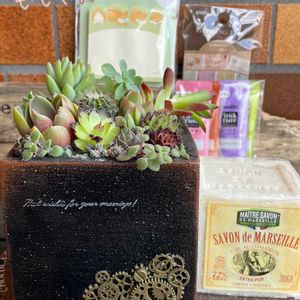 スモークツリー,アイスバーグ,多肉植物,木箱,バラと夢CLUBの画像