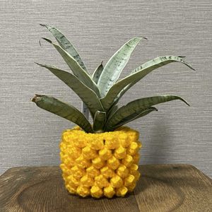 サンスベリア,観葉植物,植木鉢,鉢カバー,編み物の画像