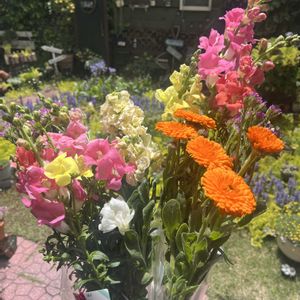 花束,いつもありがとう♡,手作りの庭,安い,多肉女子の画像