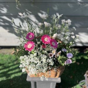 寄せ植え,ガーデニング,バスケット,母の日,季節の花の画像